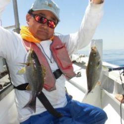 土佐安芸のハマちゃん