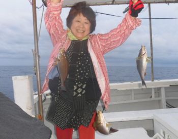 土佐安芸のハマちゃん