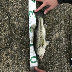 諦めかけたその時