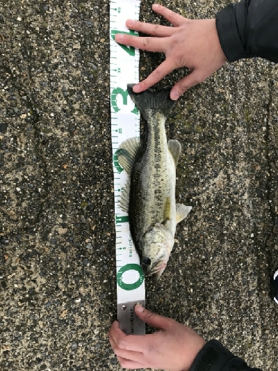 諦めかけたその時