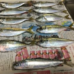 エサでアジ釣り
