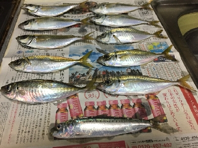 エサでアジ釣り