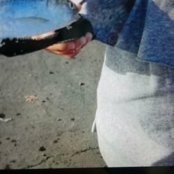 ファミリーサビキ