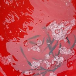 イワシ釣り　～ヒラメが出た！～