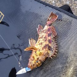 やっぱり大雨に…