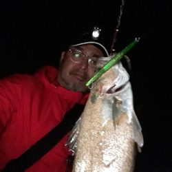 なんとか、バチ抜け～