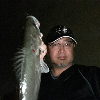 おひさのバチ抜けポイント