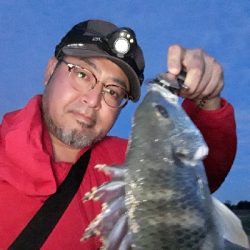 シーバスとキビレ