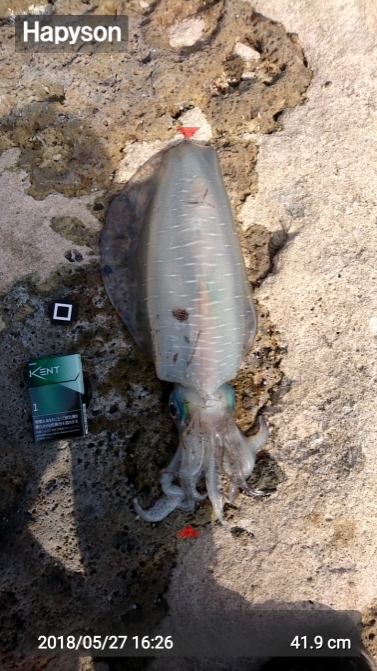 三度目の正直！(笑)