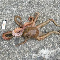 夕方のひととき