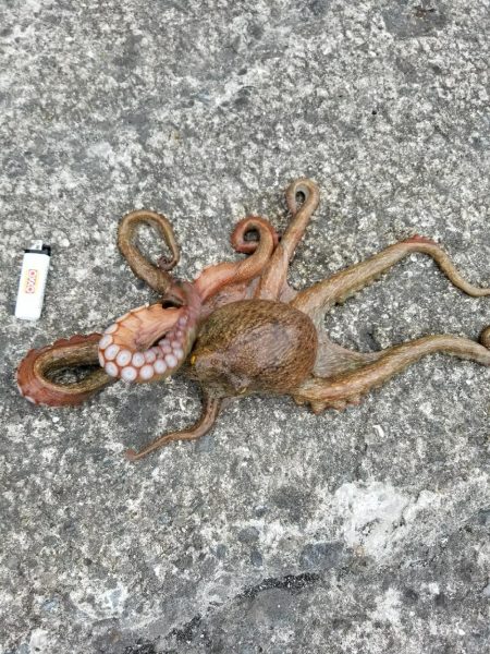 夕方のひととき