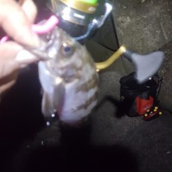 雨上がりベタ凪ぎ弱風