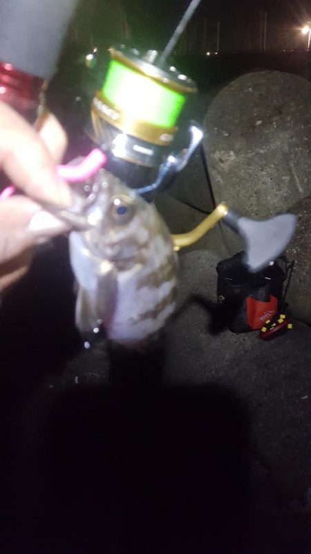 雨上がりベタ凪ぎ弱風