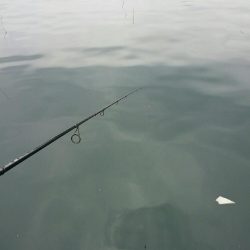 釣り堀行きました！