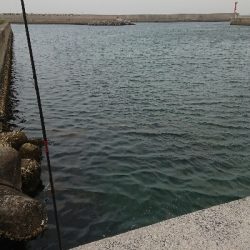 仕事終わりの短時間釣行