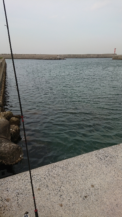 仕事終わりの短時間釣行