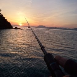 アオリ狙いが…