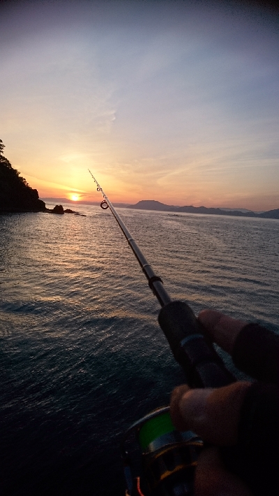 アオリ狙いが…