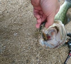 諦めかけたその時