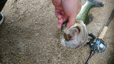 諦めかけたその時