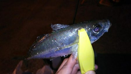 今日も好調か？