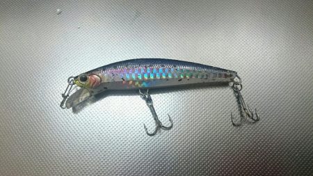 なんとか太刀魚一匹