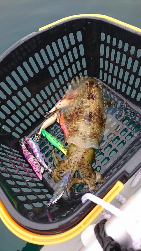 ゴムボートエギング