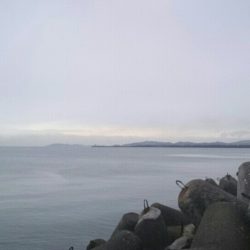 ボウズではないものの