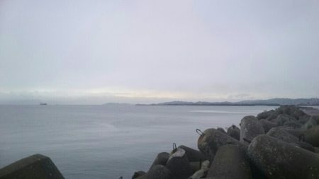 ボウズではないものの