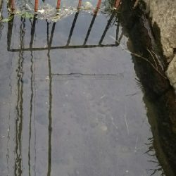 アタリは有るが…