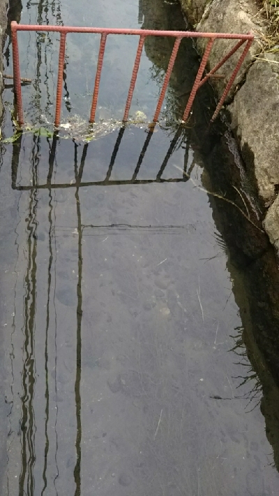 アタリは有るが…