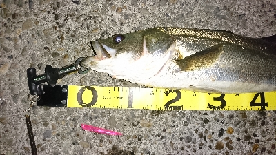 70オーバーげっと✌️