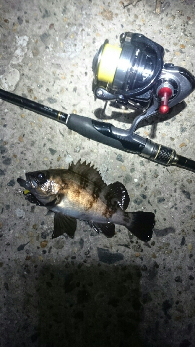 雨風に負けず！