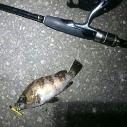 一瞬のジアイ。