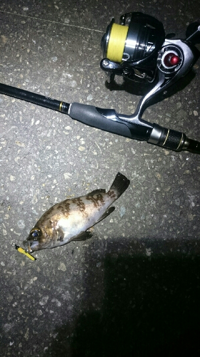 一瞬のジアイ。