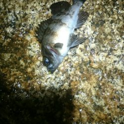 雨にも負けず。