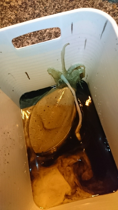 ライトエギング中にまさかの…！！