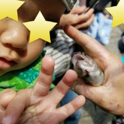 ニジマスGET！！