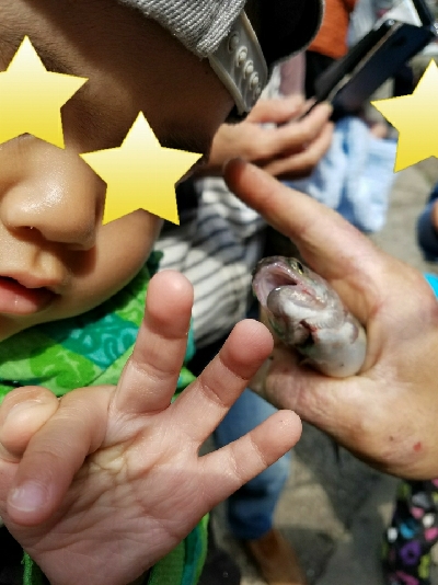 ニジマスGET！！