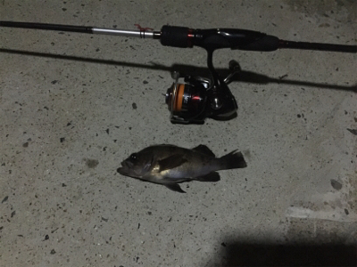 ナイトメバリング