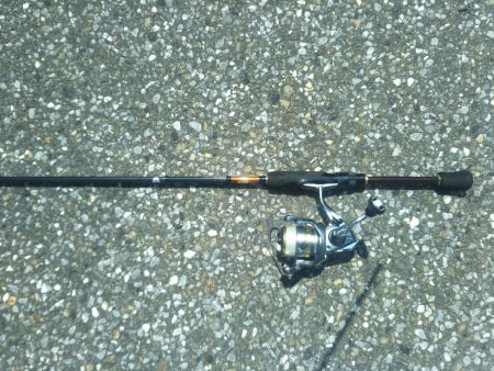 ロックフィッシュ