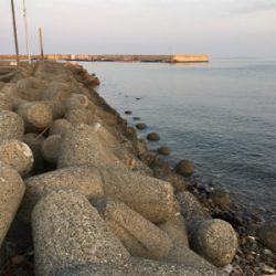 渋すぎるメバル