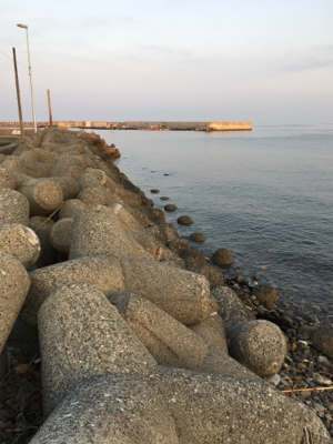 渋すぎるメバル