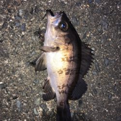 小分けに移動しながら(笑)。