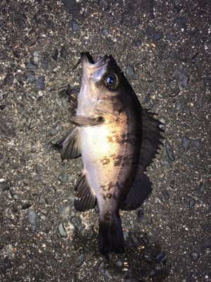 小分けに移動しながら(笑)。