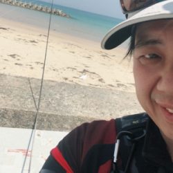 今年初のアオリイカ