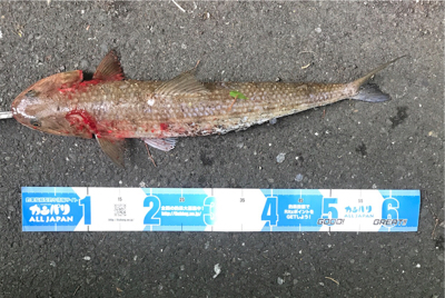 エソのヌシ降臨