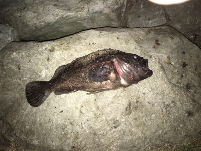 バラシまくり(・・;)