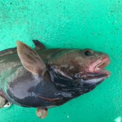 外道！！外道！！外道！！