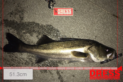 バチ抜けシーバス